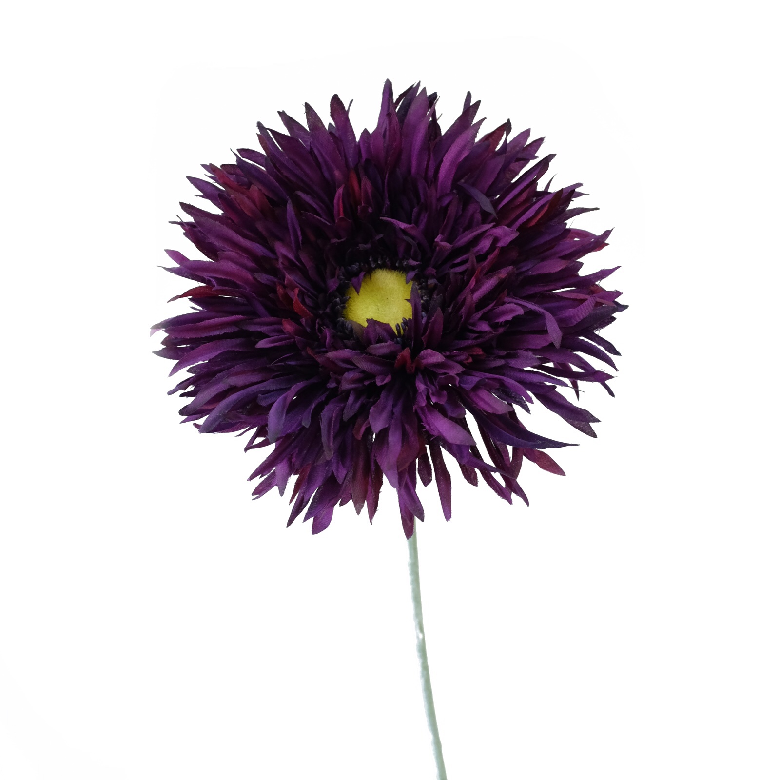 Find the Purple Spider Gerbera Daisy Spray by Ashland® at Michaels