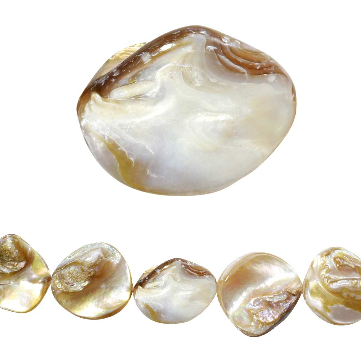 Bead Gallery® Natural Shell Beads