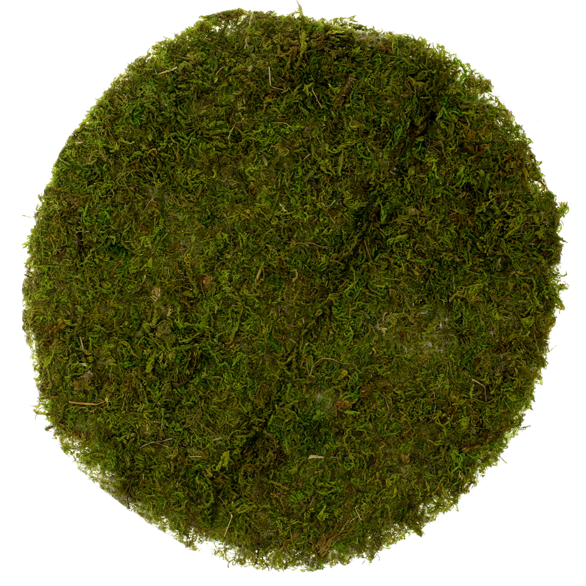 Moss Mats by Ashland® , 12"