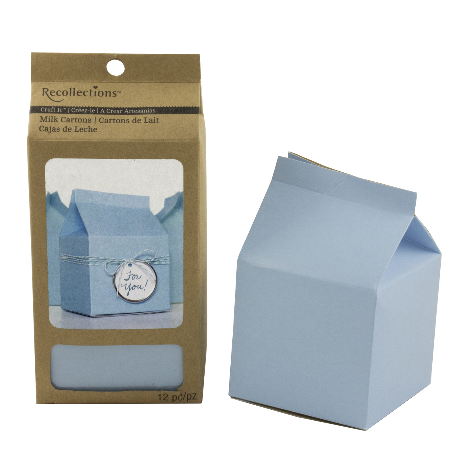 Recollections™ Craft It™ Paper Milk Cartons, 12 Pack