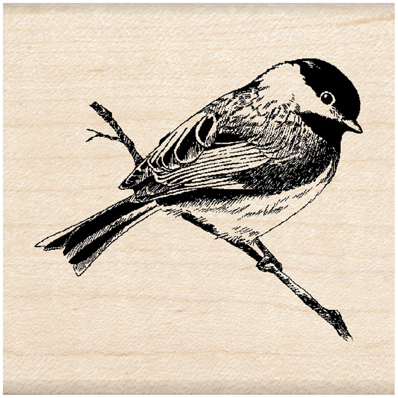 Синичка для выжигания по дереву