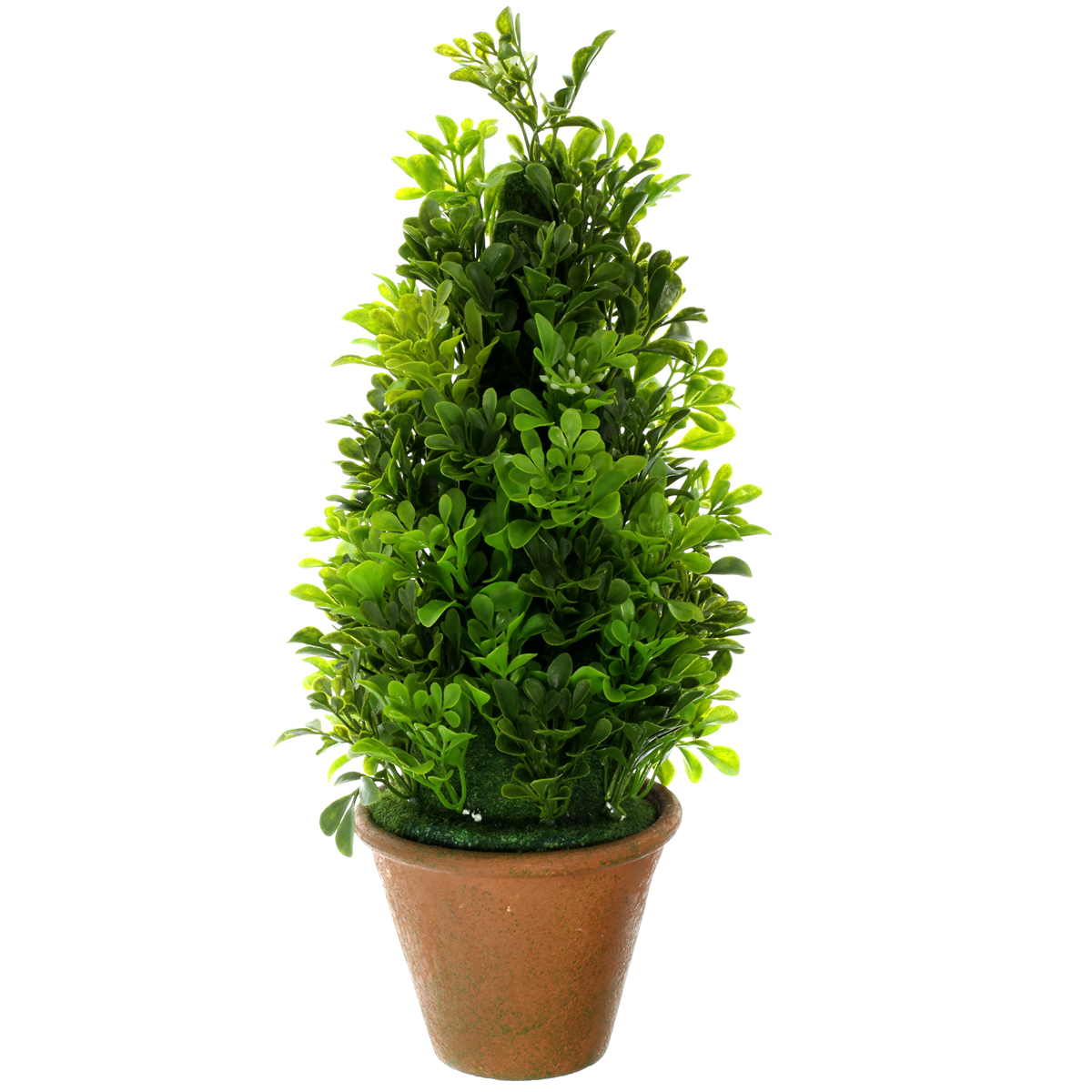 Find the Topiary Boxwood Cone by Ashland® at Michaels