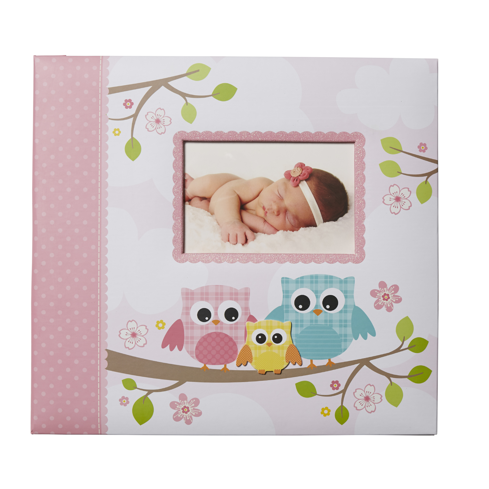 C.R. Gibson E-Complete Baby Owl Scrapbook, Cover