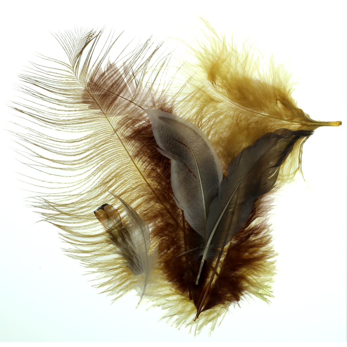 Buy the Natural Feathers by ArtMinds™ at Michaels