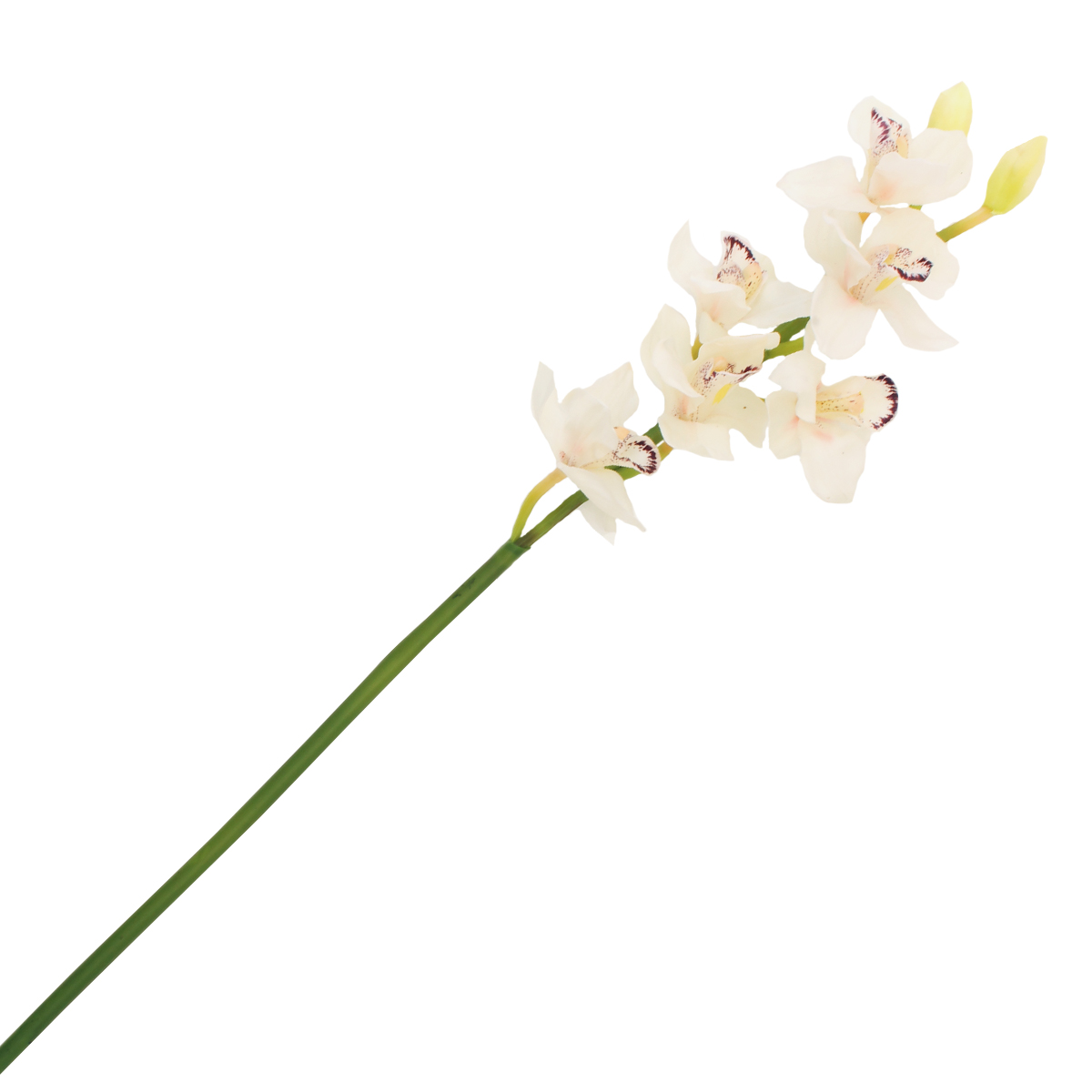 Buy the White Cymbidium Stem by Ashland at Michaels