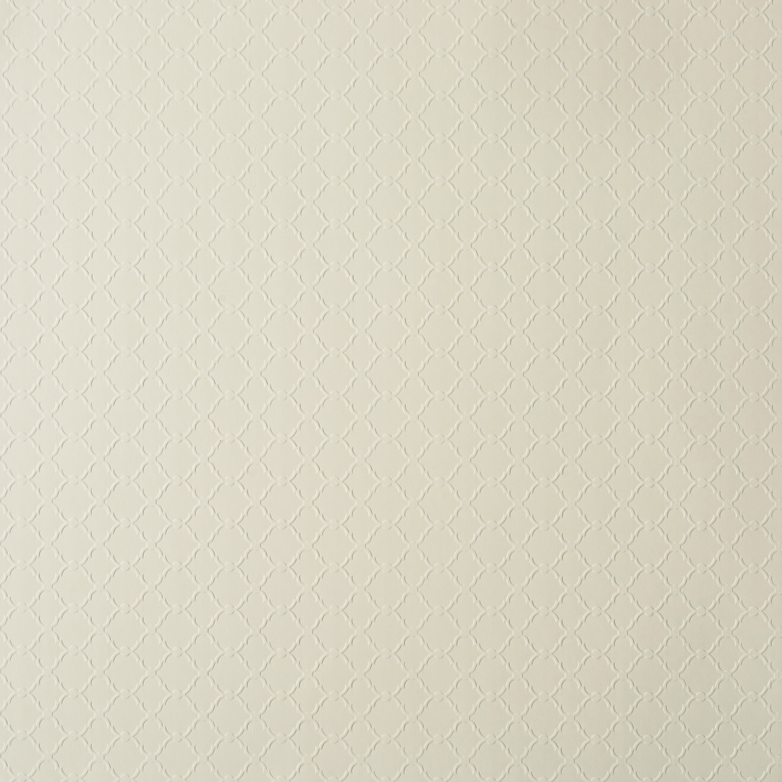 Buy the Lattice Embossed Paper by Recollections® at Michaels