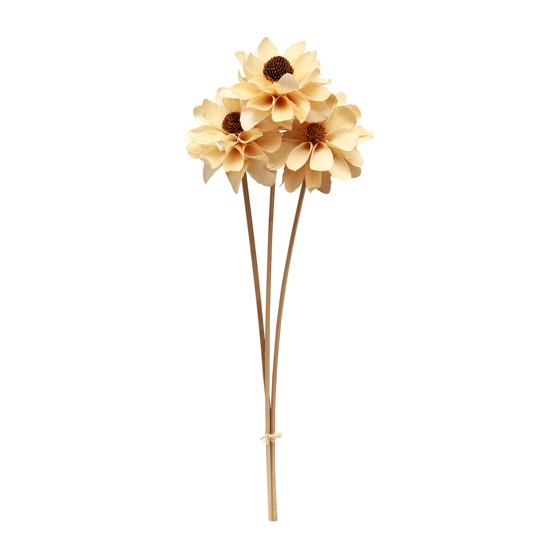 Buy the Natural Wood Daisy Flowers by Ashland® at Michaels