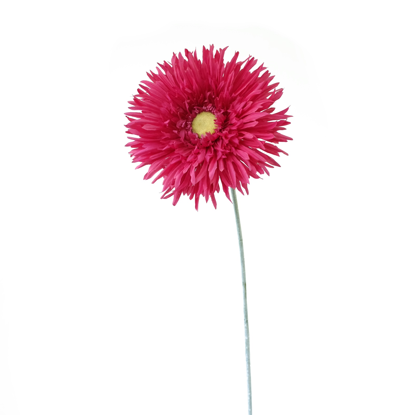 Buy the Fuchsia Spider Gerbera Daisy Spray by Ashland® at Michaels