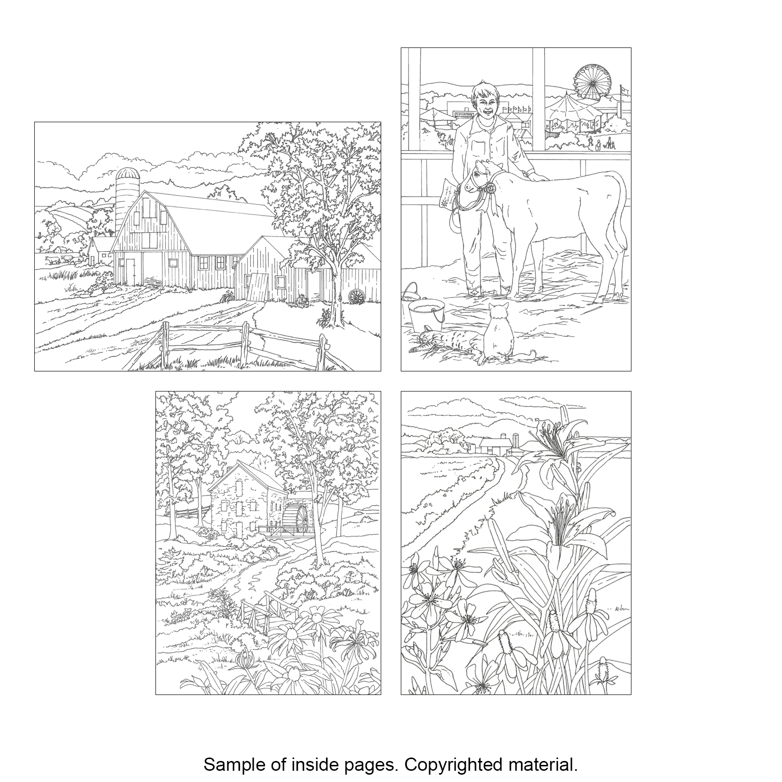 Creative Haven® Country Scenes Coloring Book