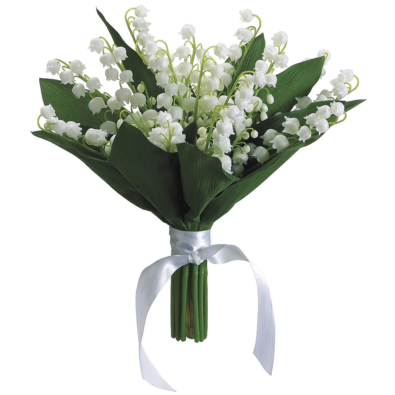 My Image 34
