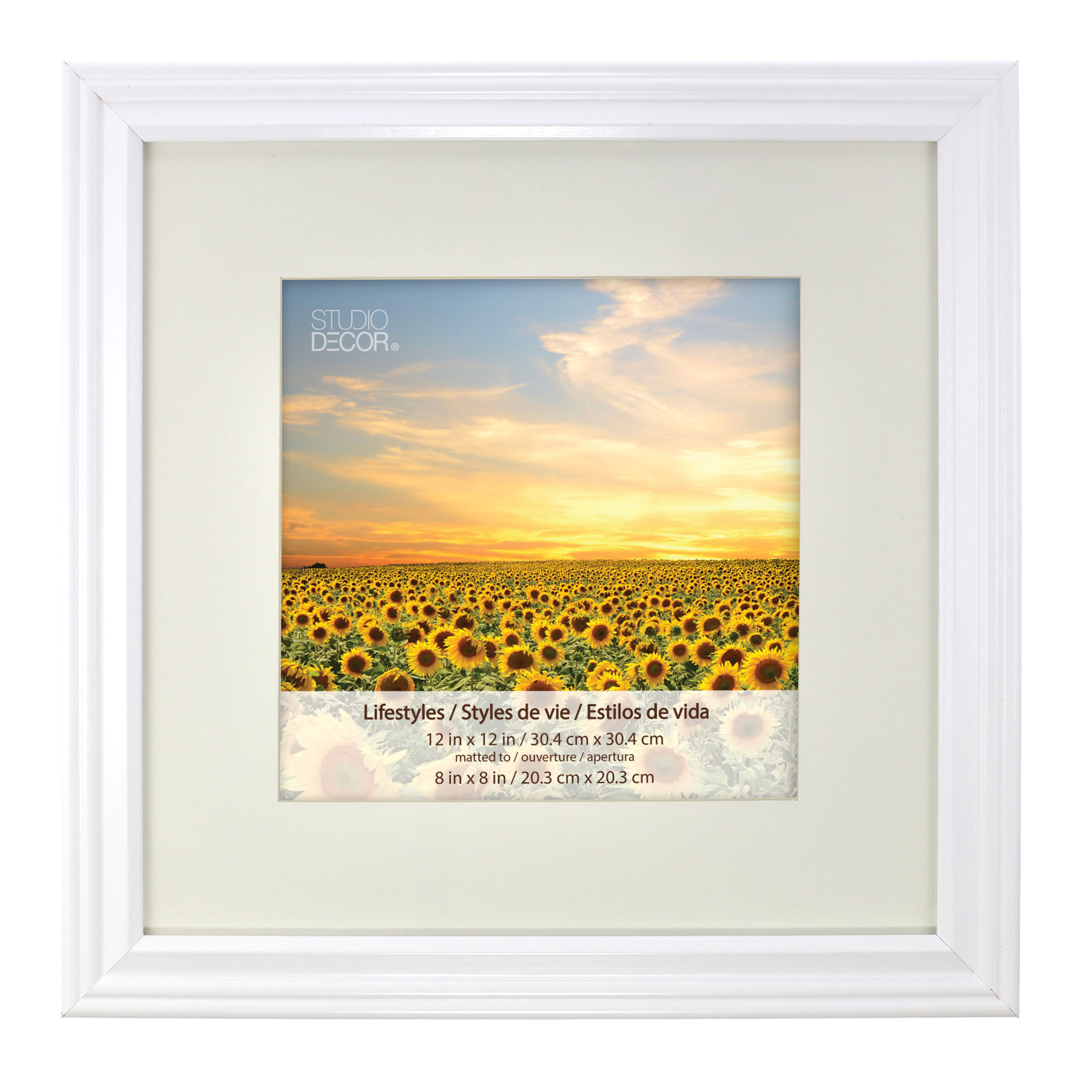 White Square Frame With Mat, Lifestyles™ By Studio Décor®