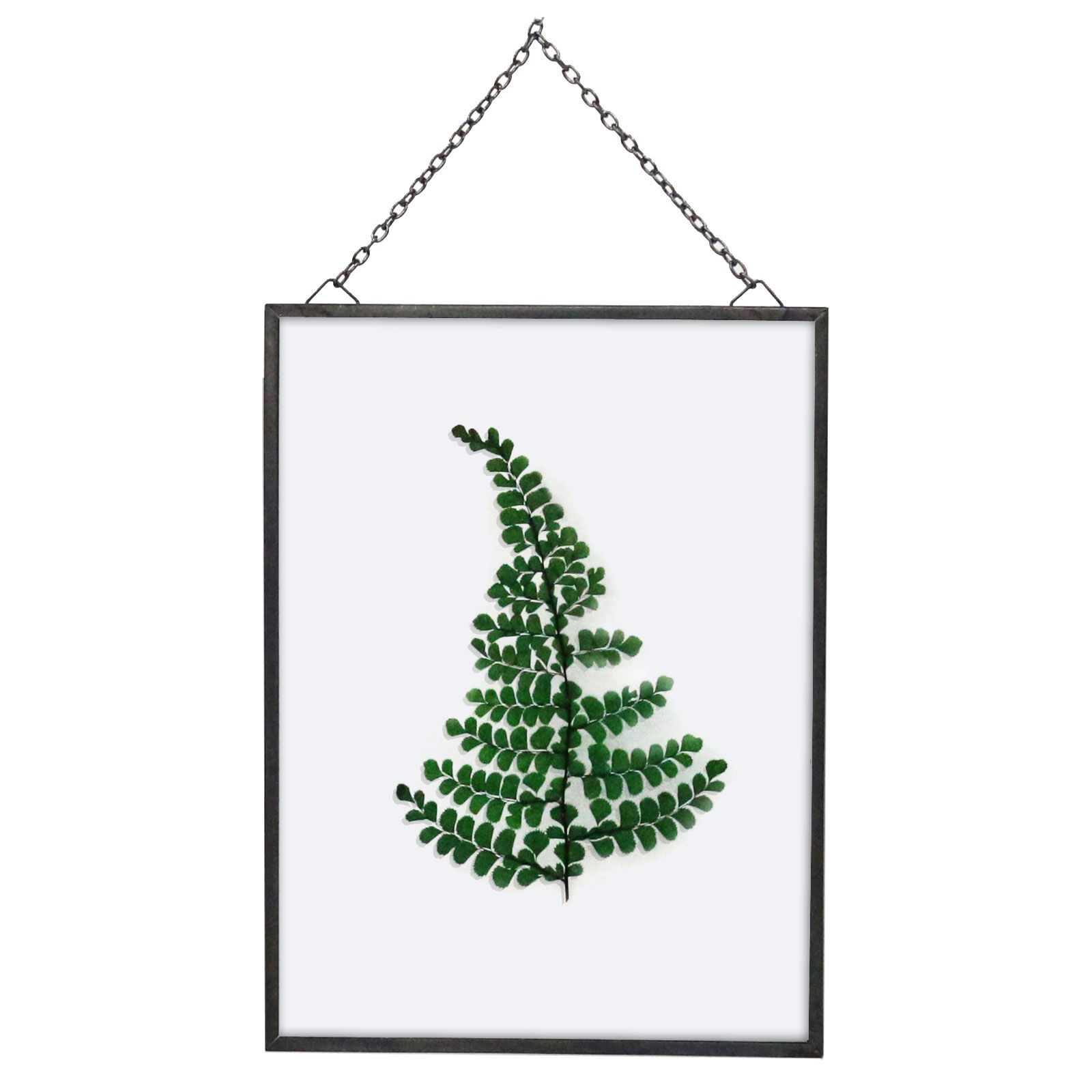Find the Botanical Art Float Frame, Farmington By Studio Décor® at Michaels
