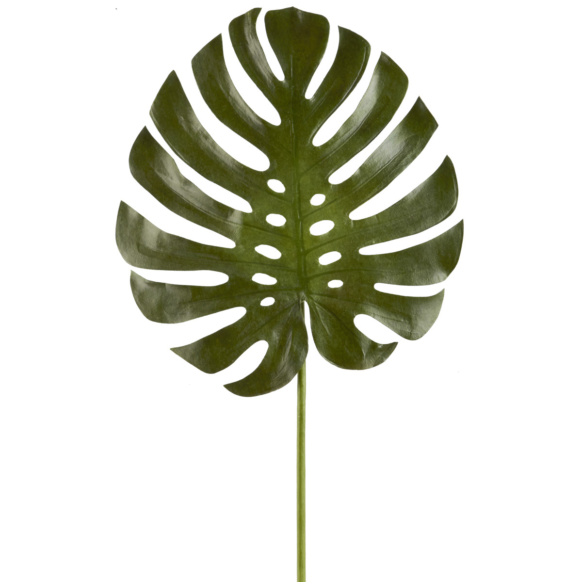 Ashland® Tropical Monstera Leaf Stem
