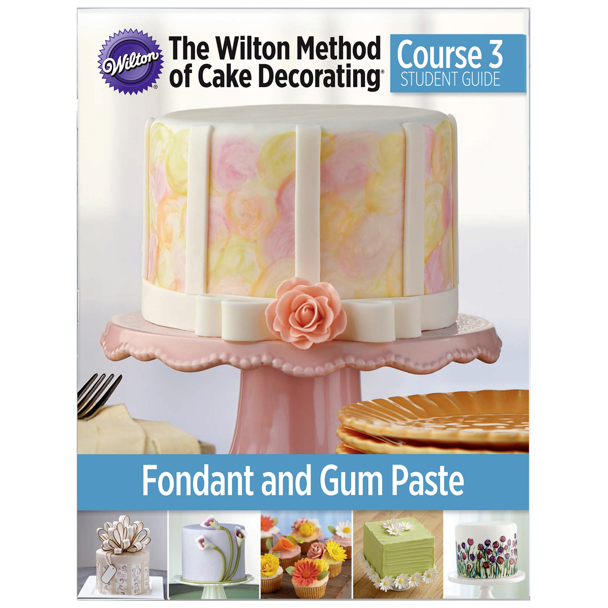 Michaels Wilton Cake Decorating Class Supplies Michaels Wilton Cake Decorating Class Supplies