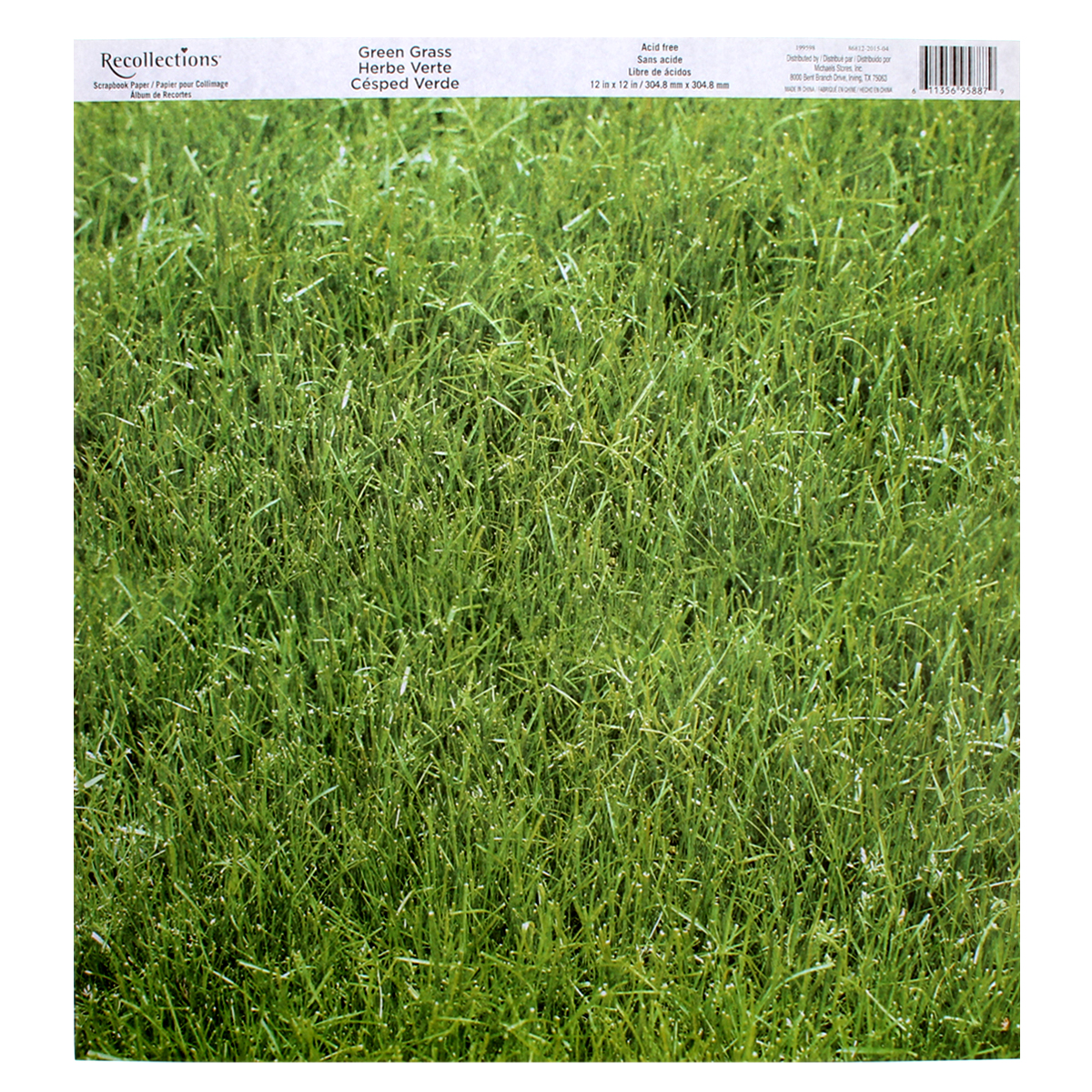 Green Grass Scrapbook Paper by Recollections®