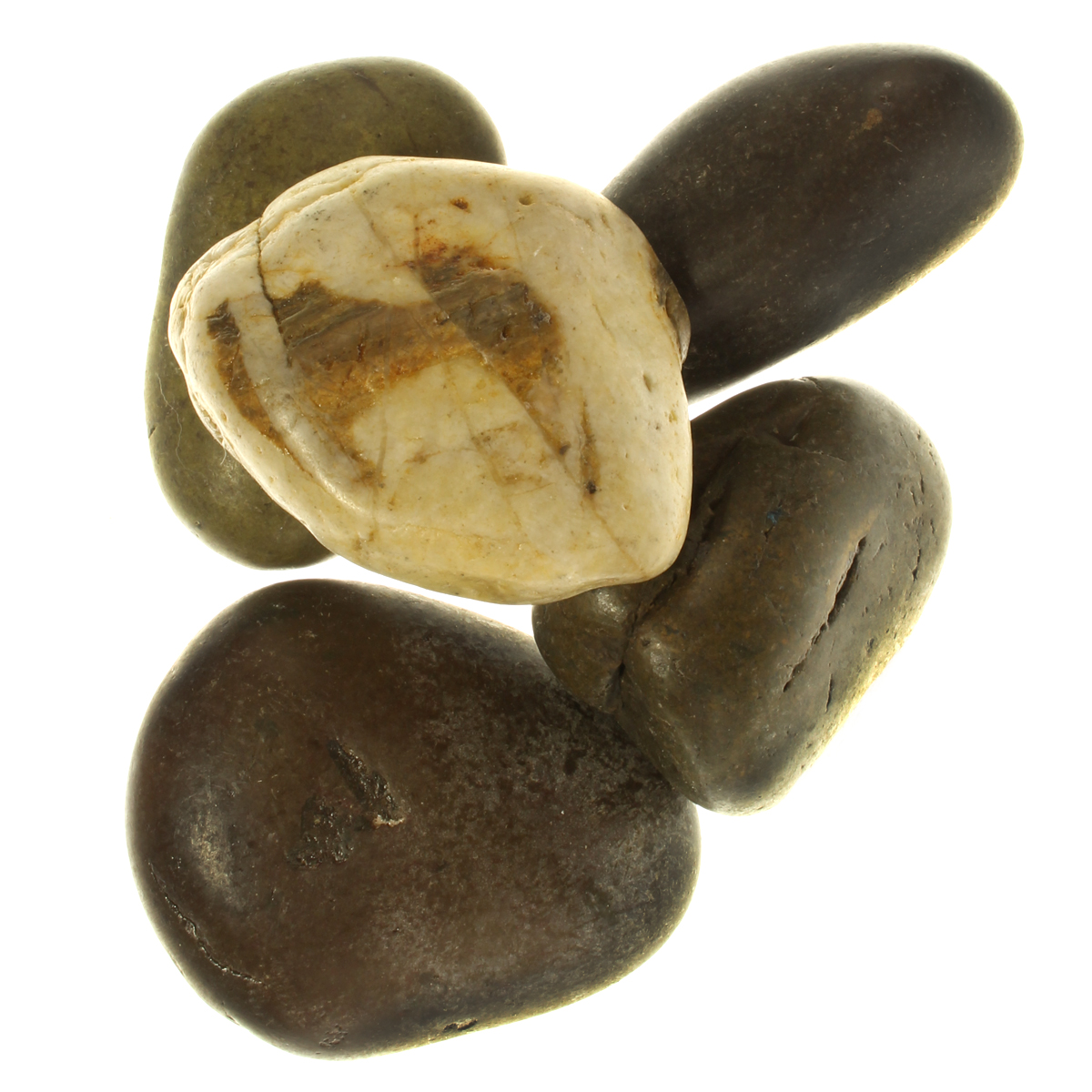Decorative Rock Fillers at Yuko Peachey blog